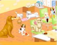 Dog room decoration online