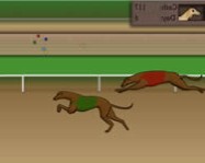 Greyhound tycoon online kutyás játék