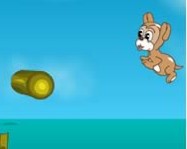 Maxims seaside adventure kutyás játékok
