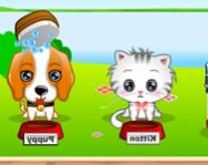 My cute pets 2 online