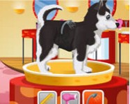 Petz Fashion online kutyás játék